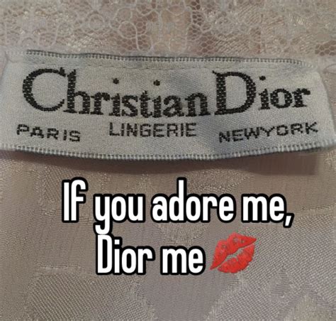 dior cloth meme|dear diary meme.